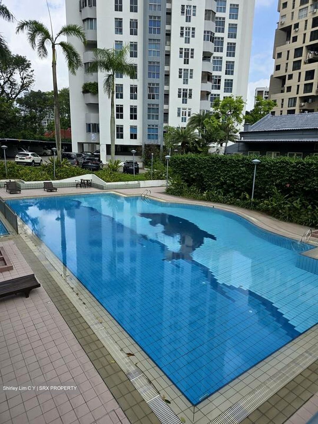 Ava Towers (D12), Apartment #457022401